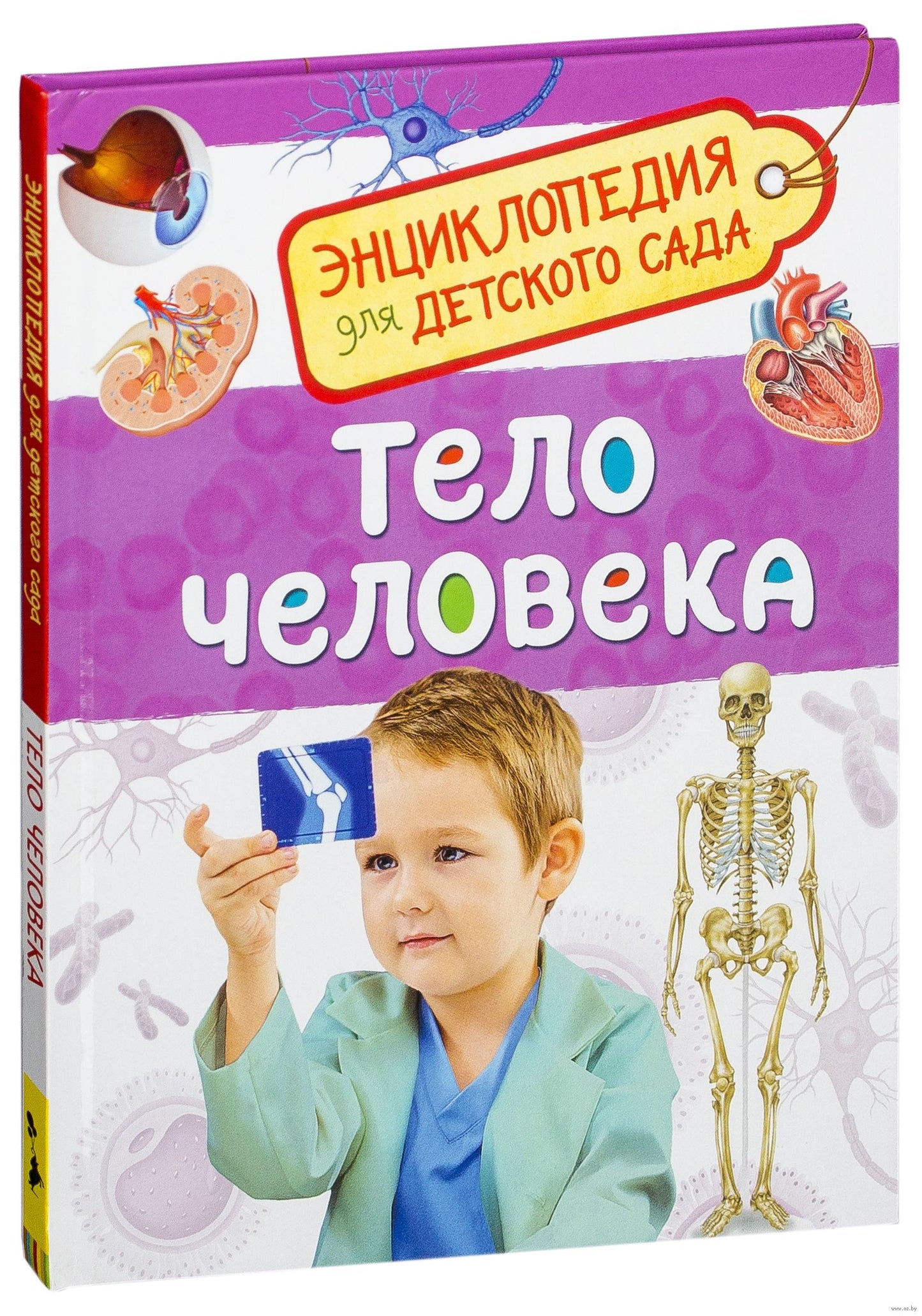 Тело человека (Энциклопедия для детского сада)