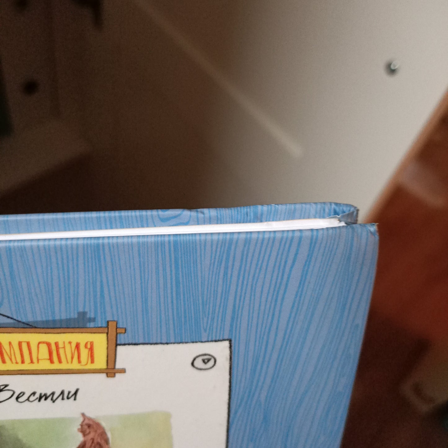 Щепкин и коварные девчонки (уголок)