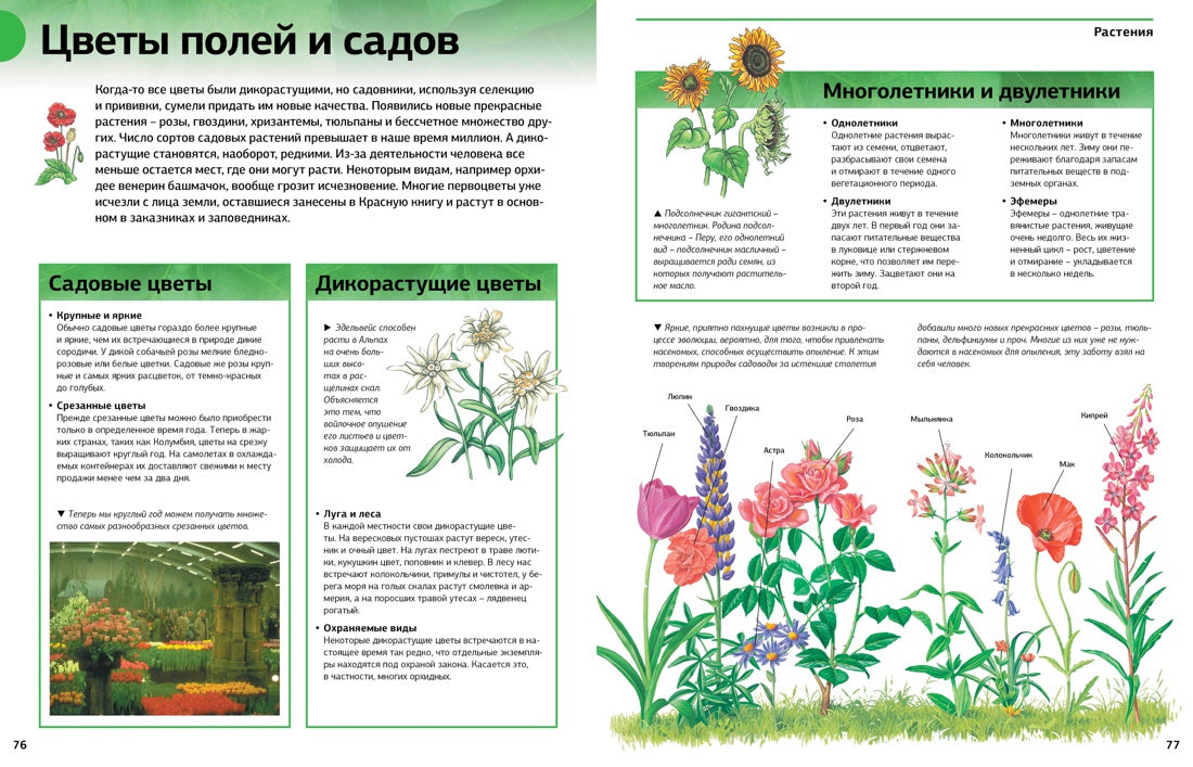 Новая энциклопедия школьника (нов.оф.)