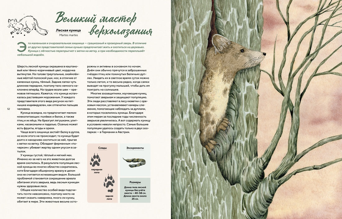 Наши соседи по планете. Рассказы о диких животных