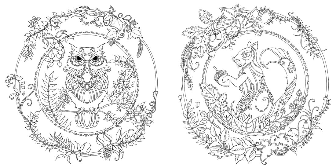 Зачарованный лес. Книга для творчества и вдохновения (тв.обл)