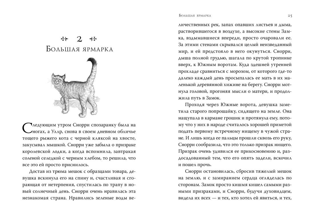 Септимус Хип. Книга 3. Эликсир жизни