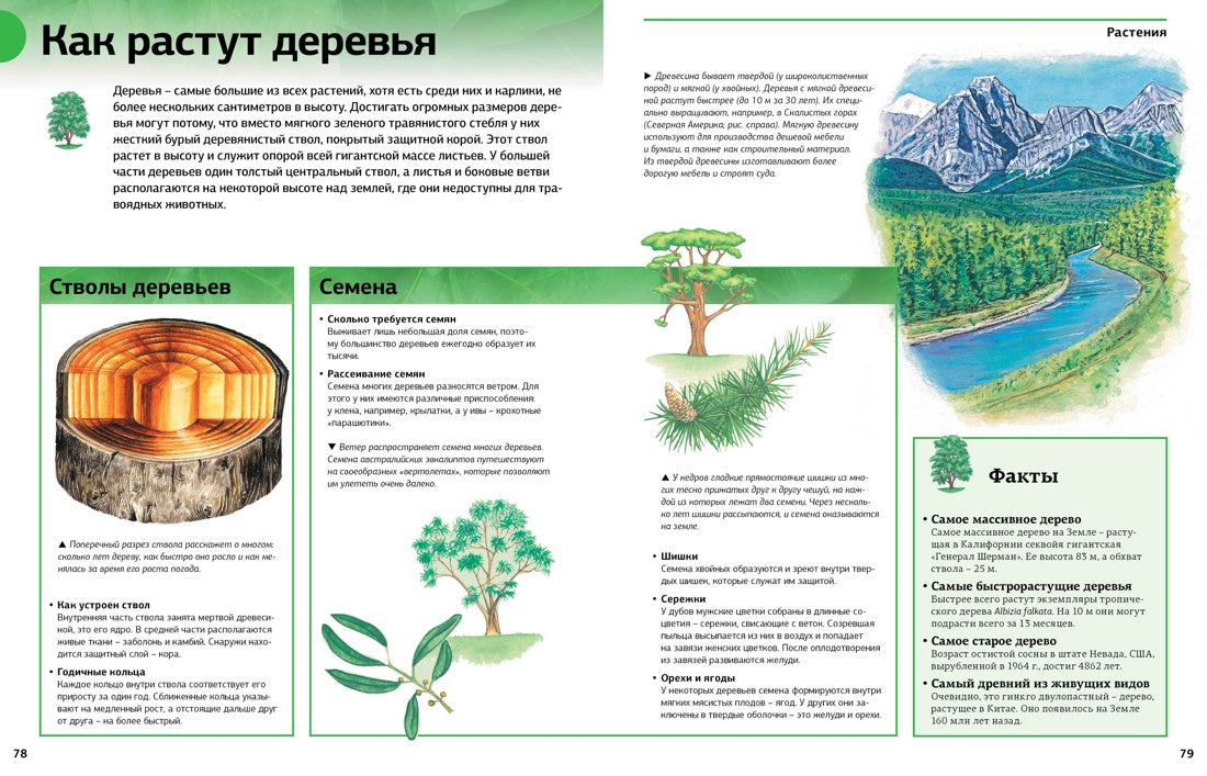 Новая энциклопедия школьника (нов.оф.)