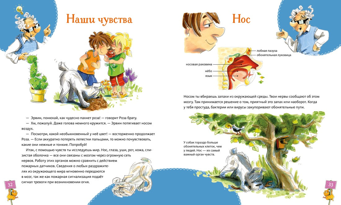 Большая книга здоровья для всей семьи