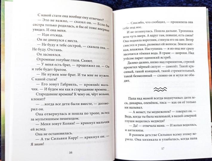 Музыка крыльев