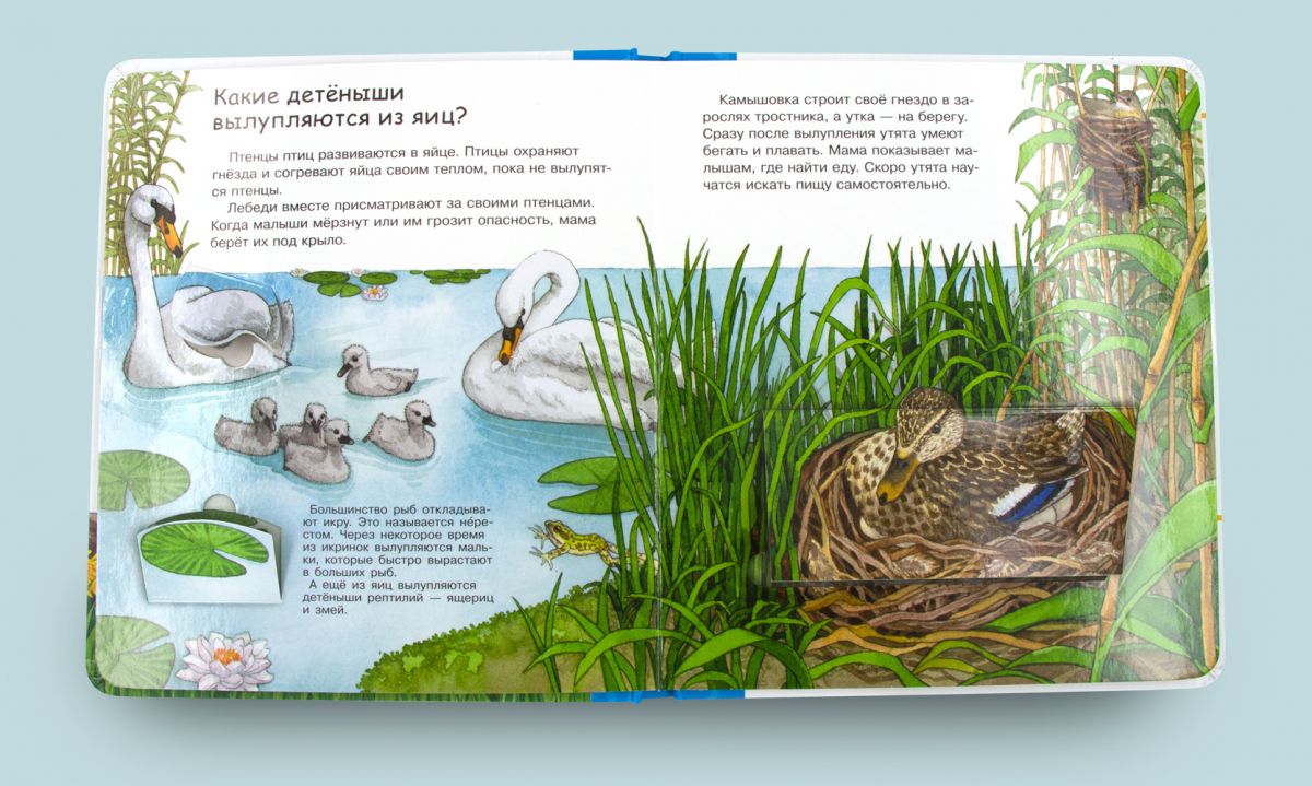 Что? Почему? Зачем? Малышу. Мамы и малыши (с волшебными окошками)