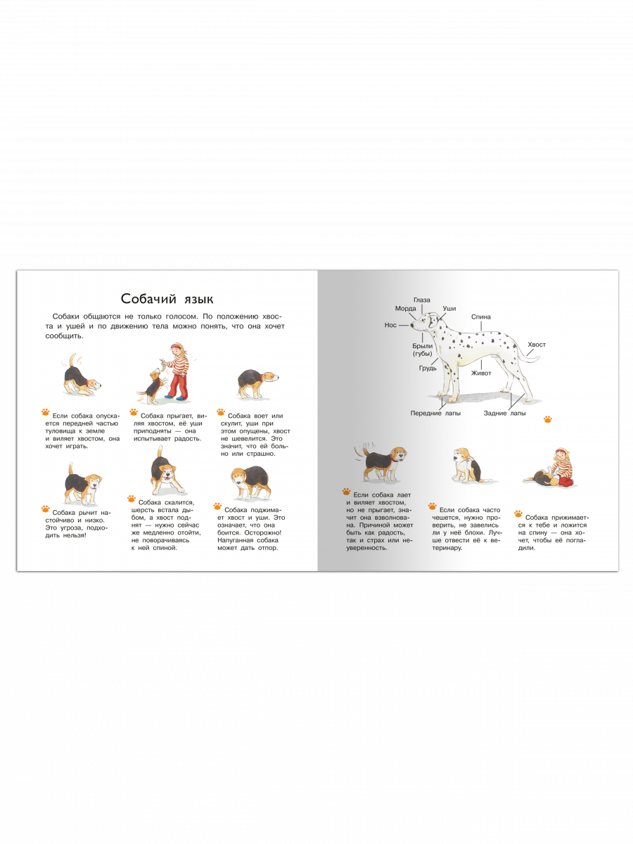 Первая книга знаний. Наш четвероногий друг