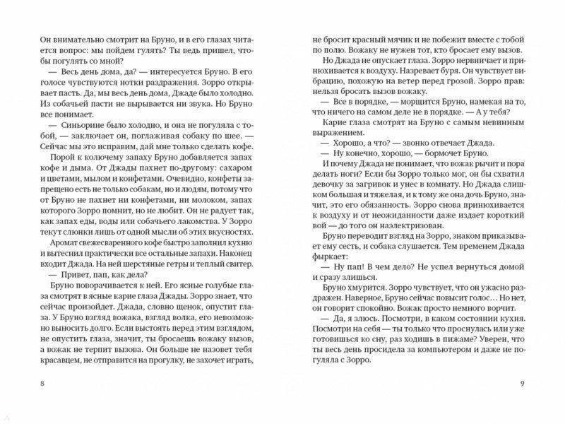 Зорро в снегу. Дзаннонер П.