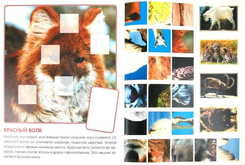 Кто живёт в горах