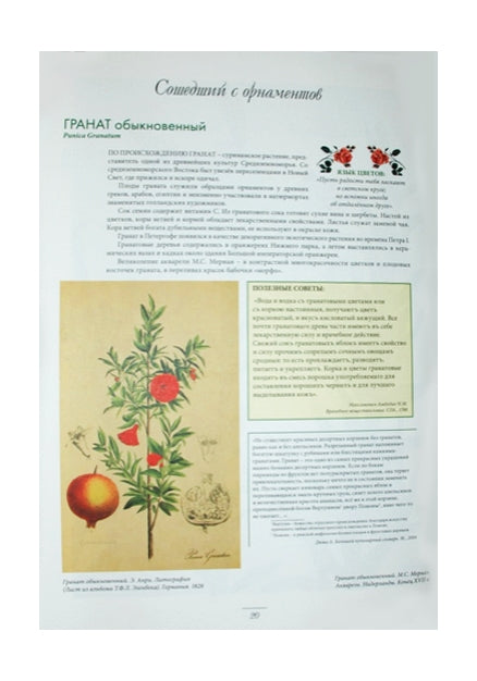 Мода на ботанику. Цветочный мир Петергофа