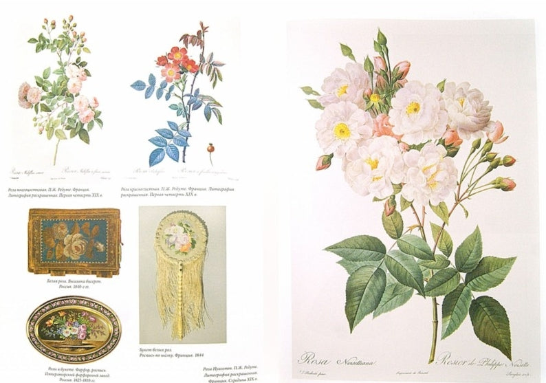 Мода на ботанику. Цветочный мир Петергофа
