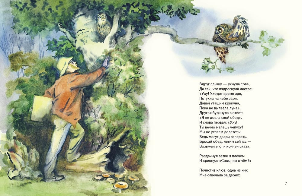 Вечернаяя сказка