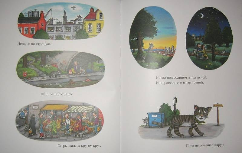 Тимоти Скотт