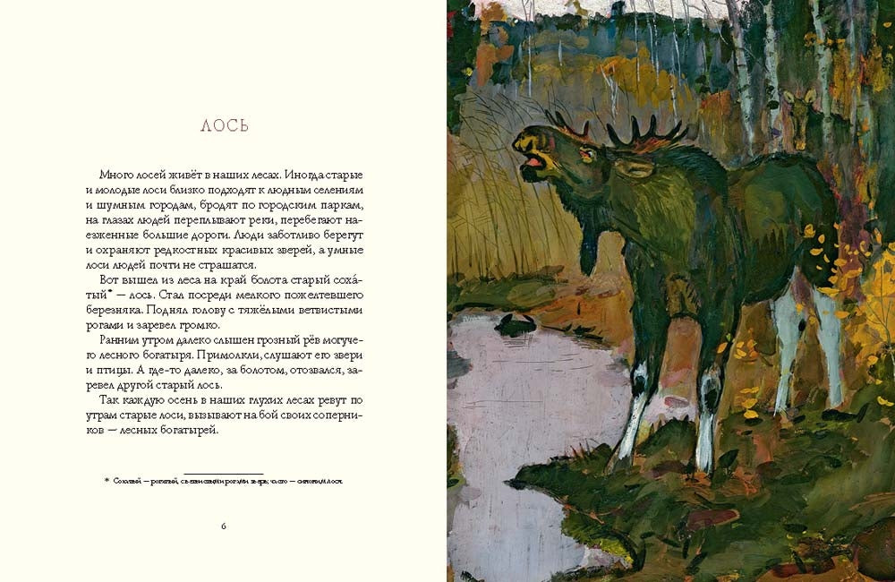 Осень в лесу