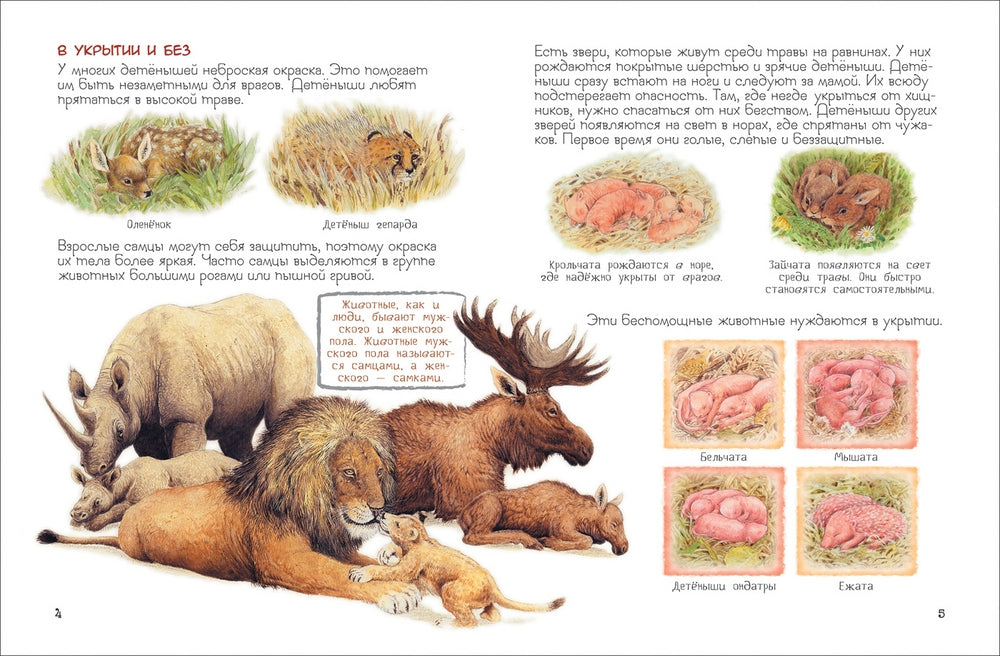 Мамы и малыши