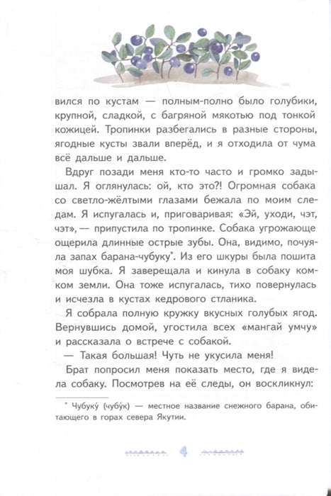 Игра в камешки. Федотова М.
