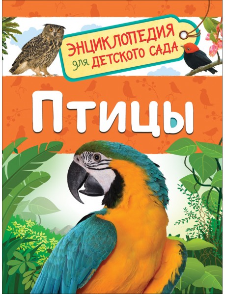 Птицы (Энциклопедия для детского сада)