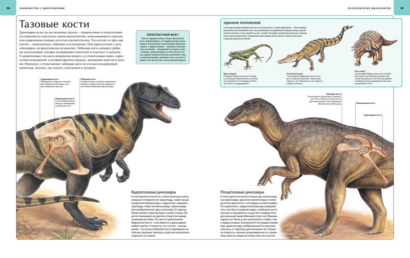 Динозавры. Иллюстрированный атлас