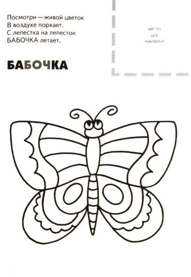 Насекомые (3+)