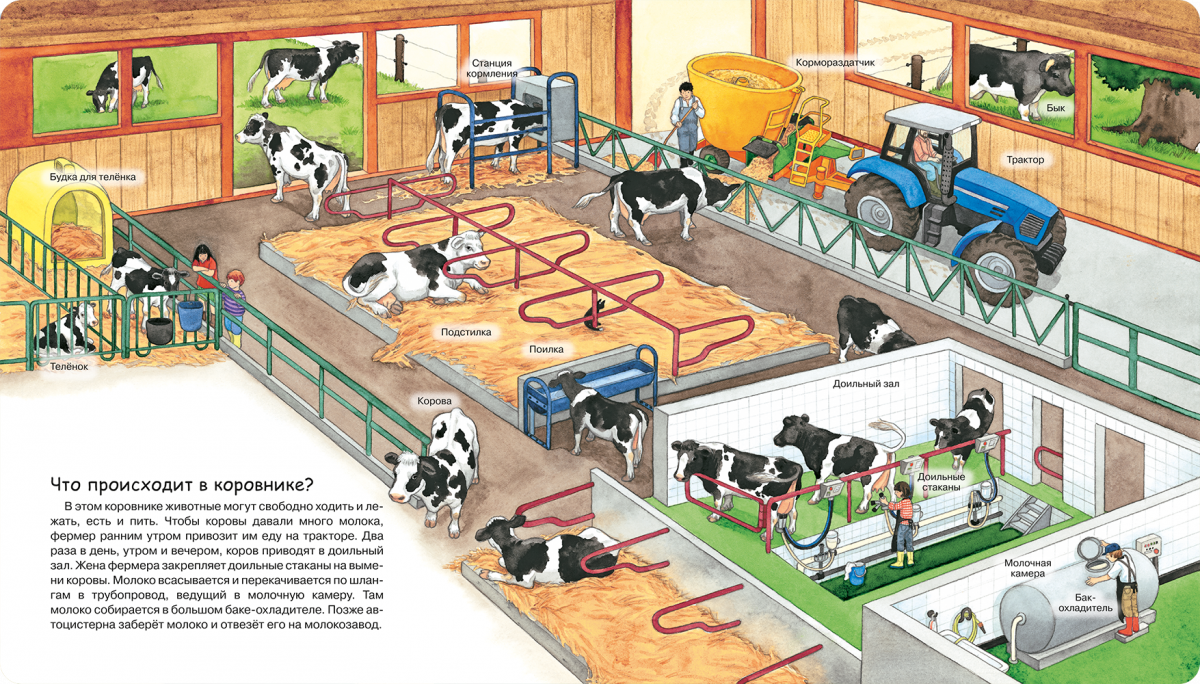 Моя первая энциклопедия. На ферме