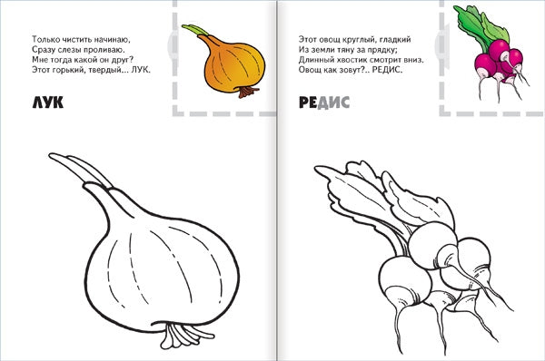 Раскраска с наклейками. Овощи