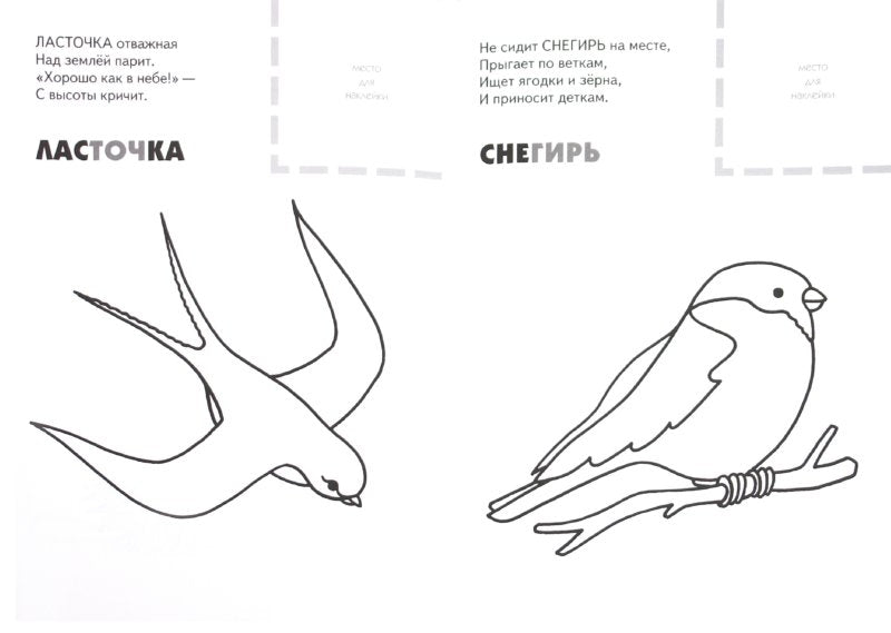 Раскраска с наклейками. Птицы
