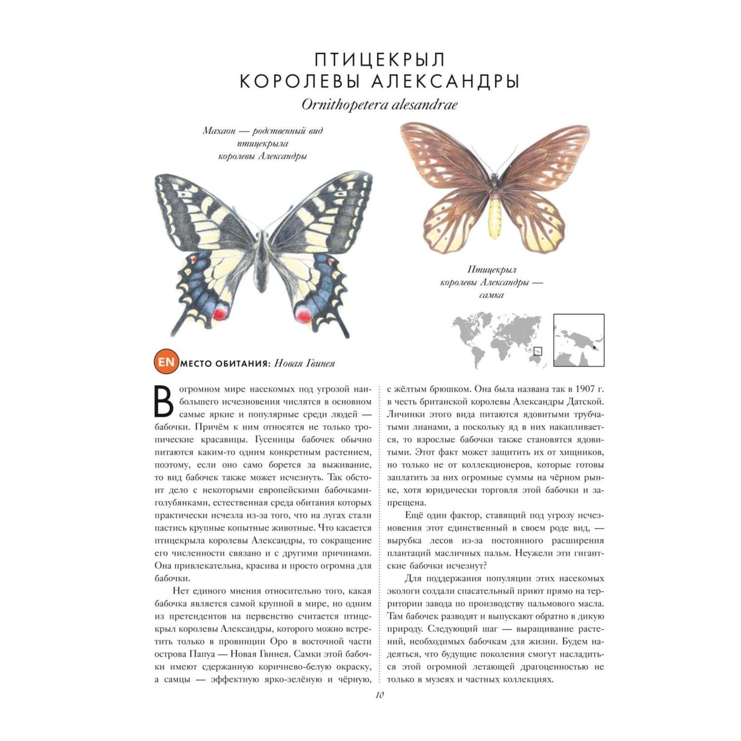 КРАСНАЯ КНИГА. Животные на грани вымирания