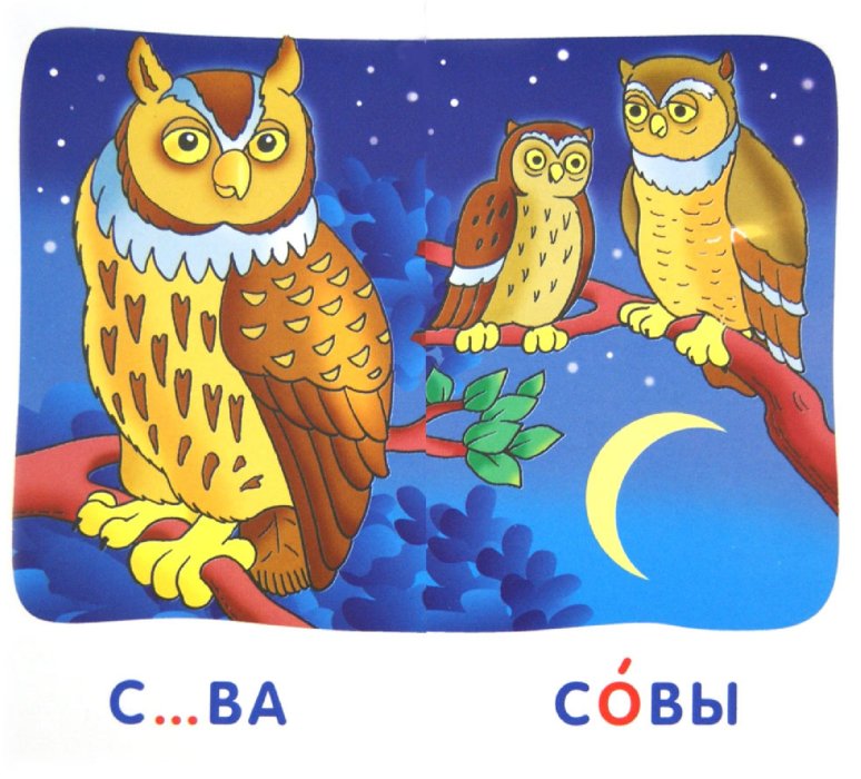 Сова. Карточки