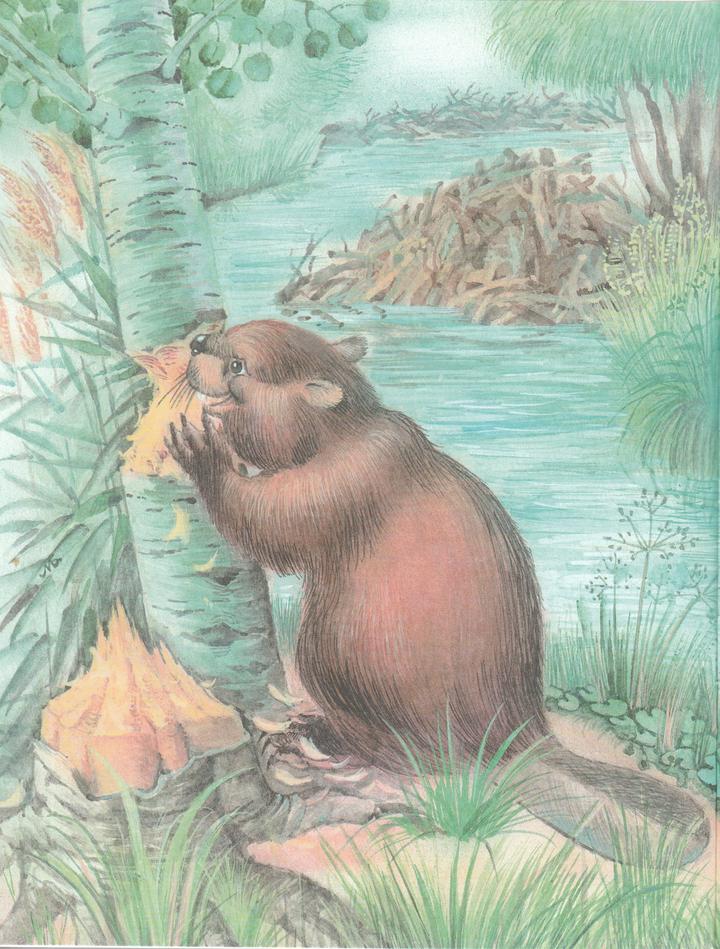 Глаза и уши