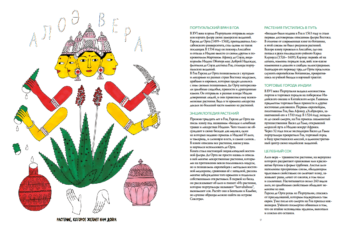 История ароматов: путешествия цветов из далёких стран.