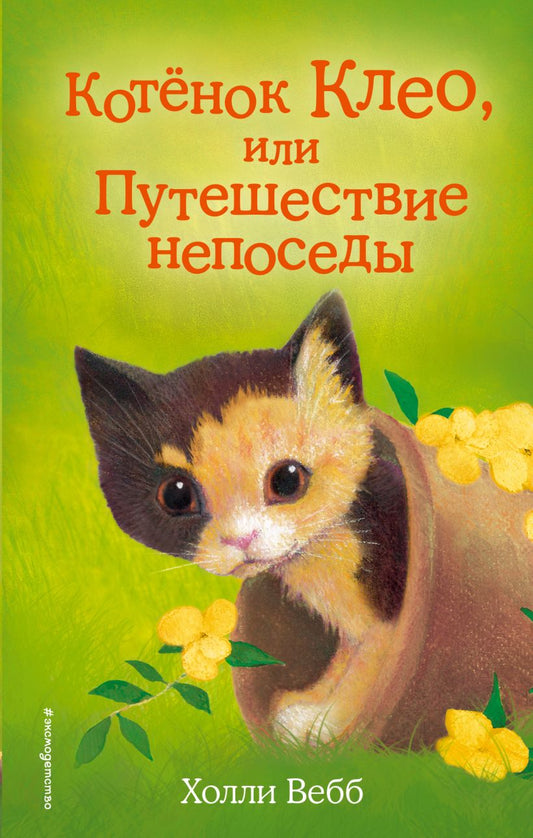 котёнок клео или путешествие непоседы. Купить детские книги на русском в Нидерландах (Голландии), в Германии, в Европе chitatel.nl