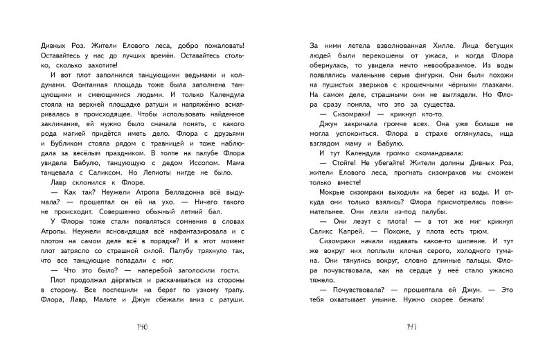 Маленькая ведьмочка Флора. Спасение долины Дивных роз