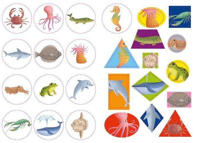 Кто живёт в воде?