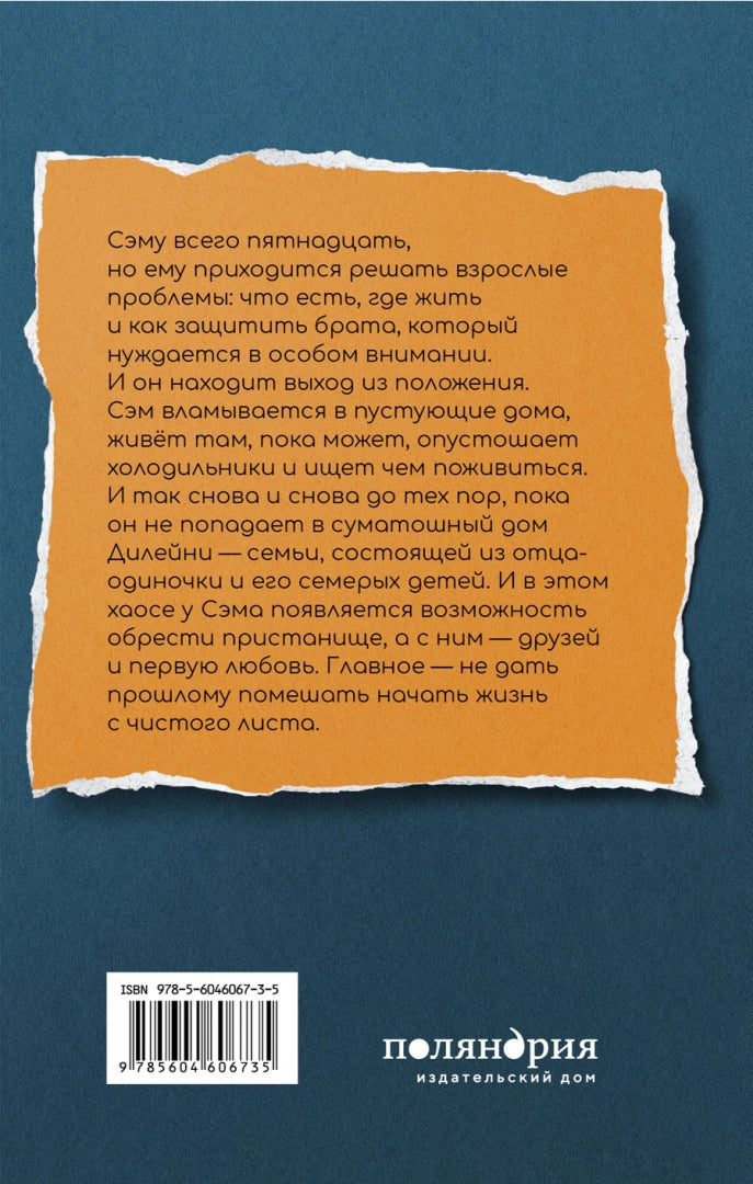 Мальчик, который крадет дома. С.Дж. Дрюс