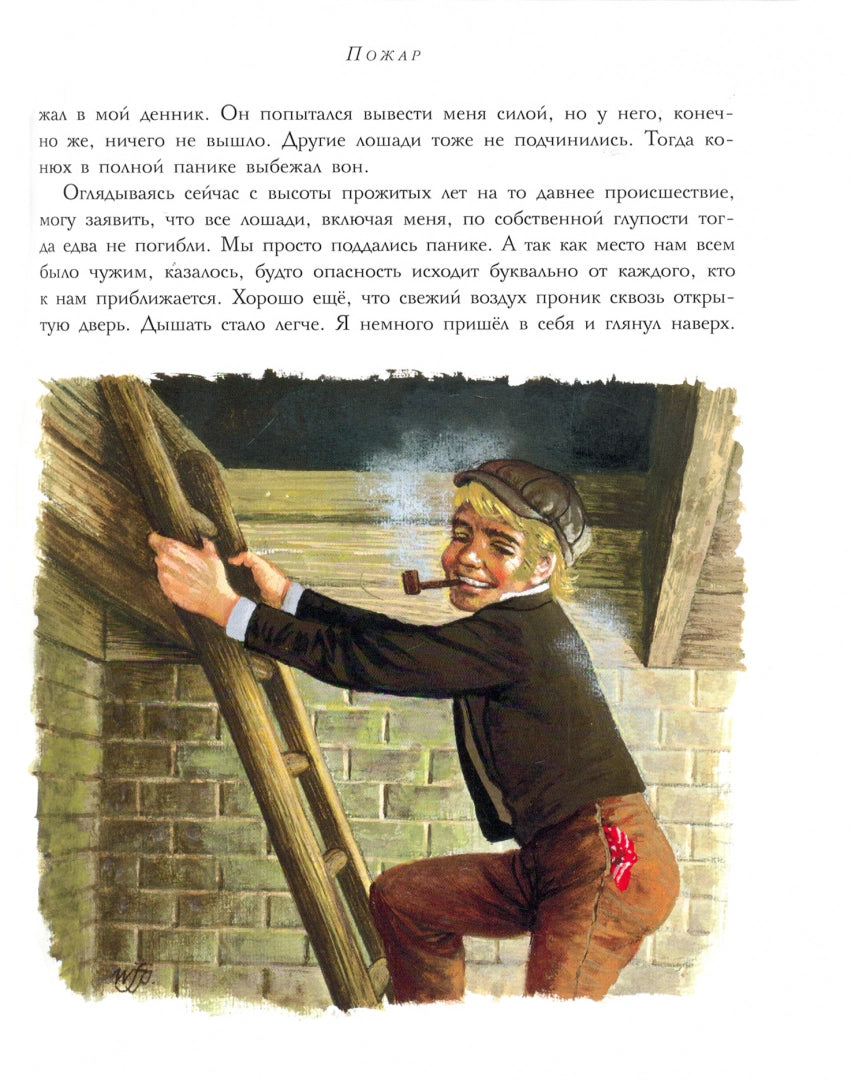 Черный красавчик