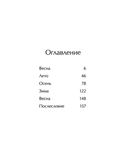 Большая Панда и Маленький Дракон: медитативная история