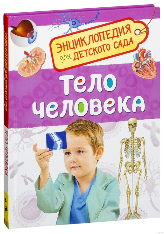 Тело человека (Энциклопедия для детского сада)