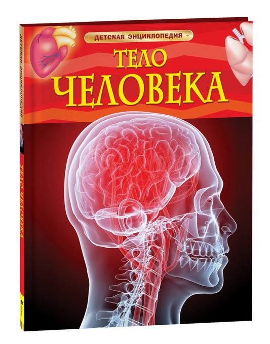 Тело человека. Детская энциклопедия