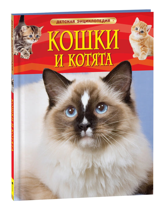 Кошки и котята. Детская энциклопедия