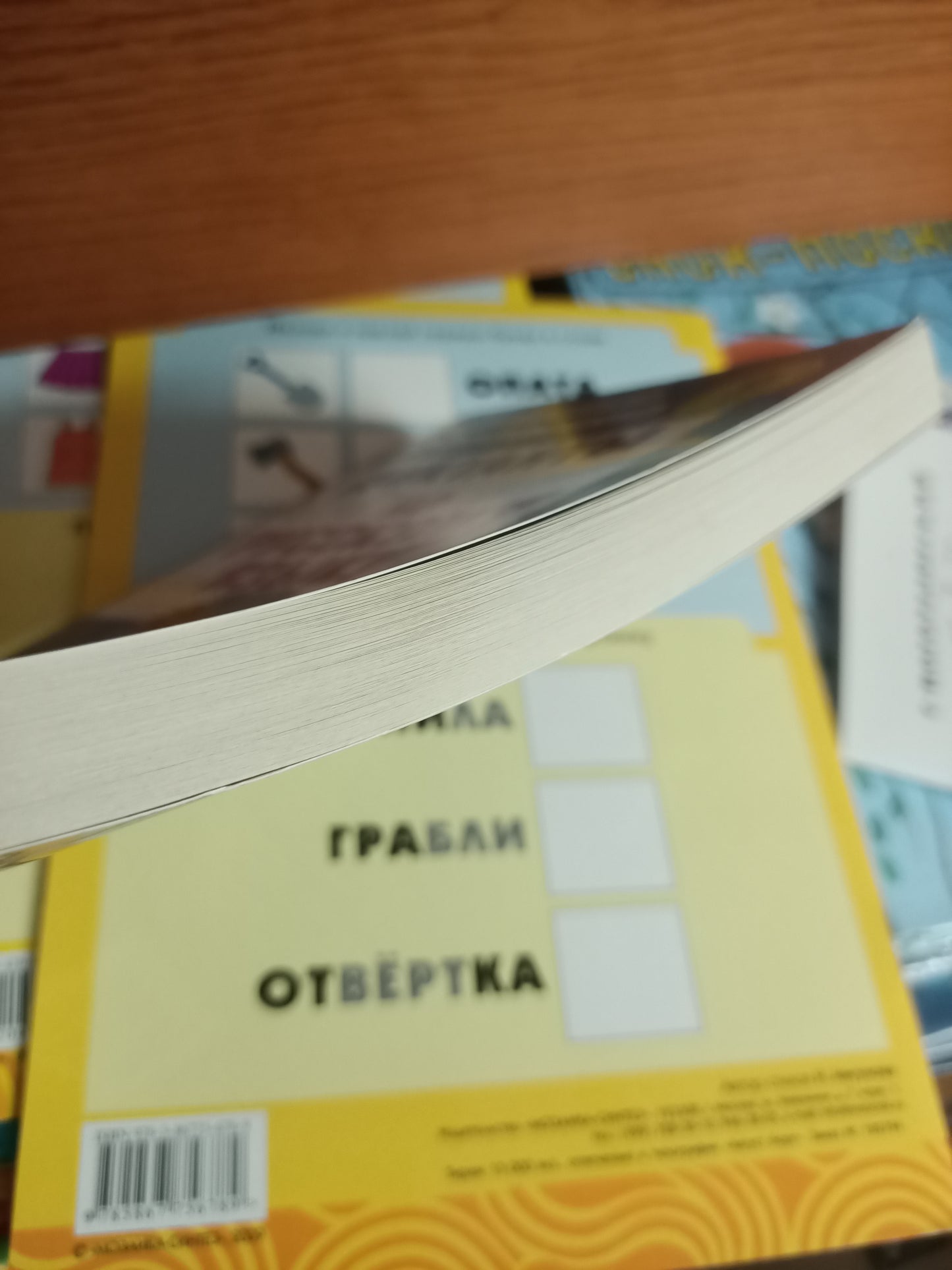 Диктанты по русскому языку (ЗАЛОМ ОБЛОЖКИ)