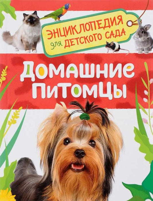Домашние питомцы (Энциклопедия для детского сада)