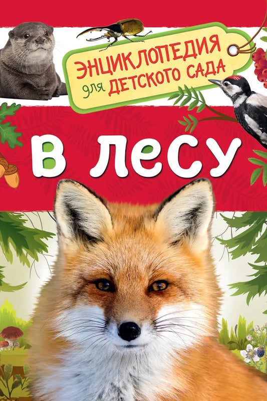 In the Forest (Encyclopedia for Kindergarten)