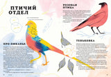 Звездная пыль. Цвета и краски