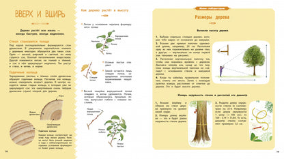 Деревья и кустарники
