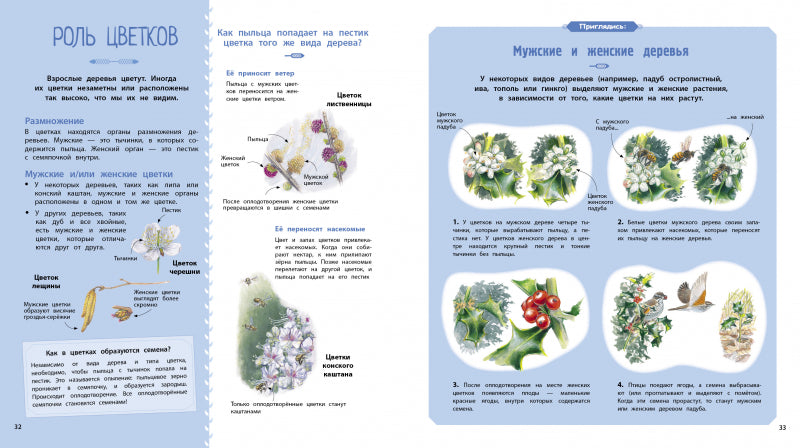 Деревья и кустарники