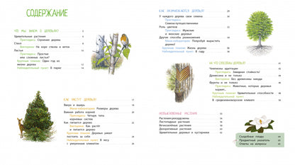 Деревья и кустарники